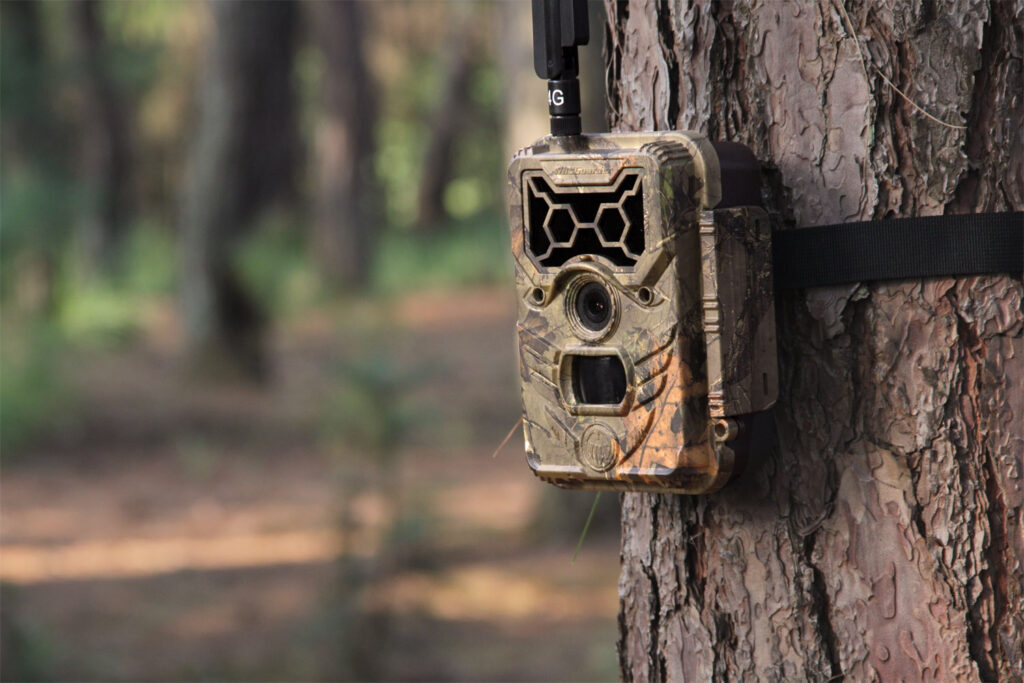 Lokalizacje, w których warto umieścić kamery trailowe polowanie myślistwo